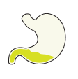 Gastrointestinal icon