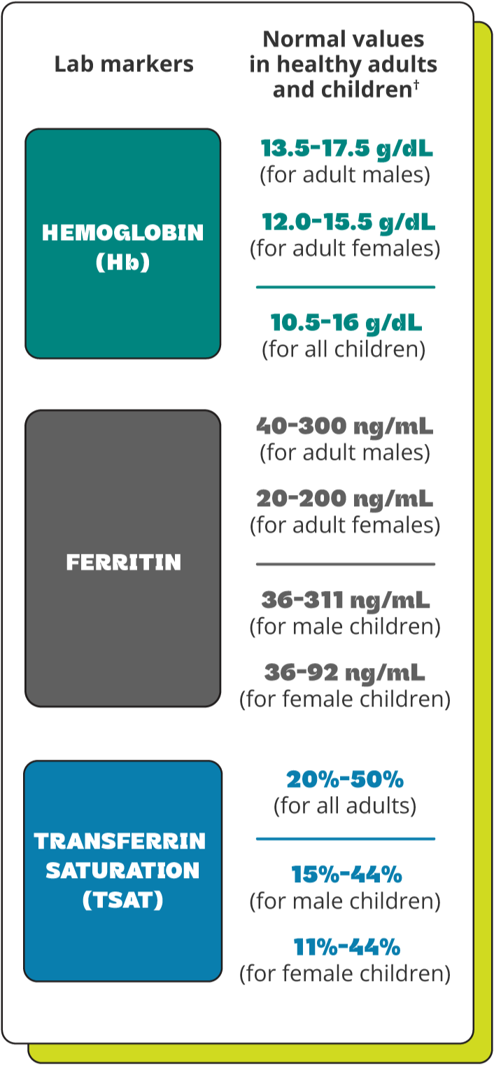 A chart showing various lab markers such as Hemoglobin (Hb), Ferritin, and Transferrin Saturation (TSAT) and their normal values in both healthy adults and healthy children
